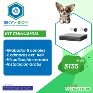 KIT CHIHUAHUA