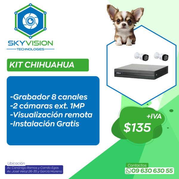 KIT CHIHUAHUA