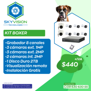 KIT BOXER