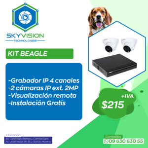 KIT BEAGLE
