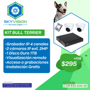 KIT BULL TERRIER